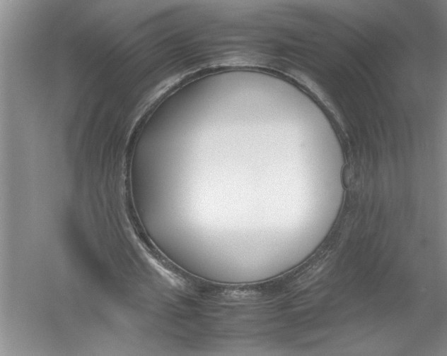 X0000052990437200508051112