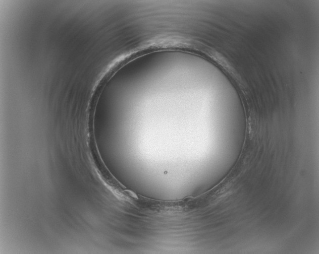 X0000052990438200508051112