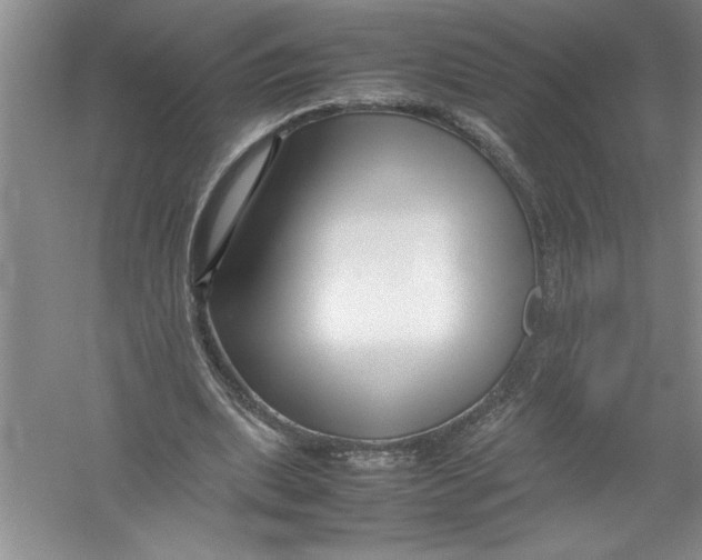 X0000052990439200508051112