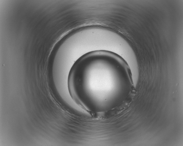 X0000052990440200508051112