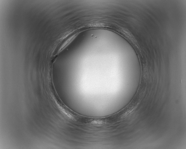 X0000052990441200508051112