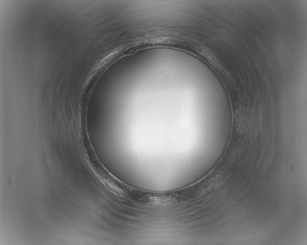 X0000052990442200508051112