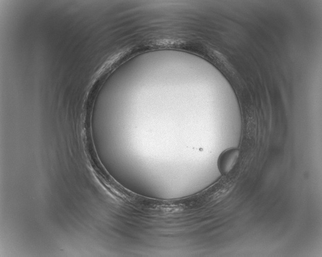 X0000052990443200508051112