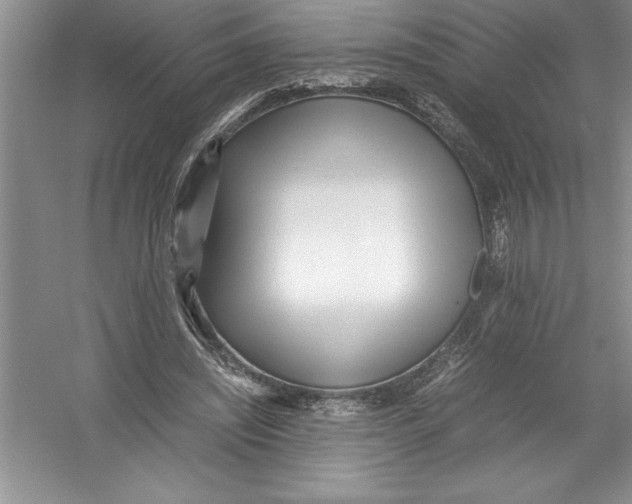 X0000052990444200508051112