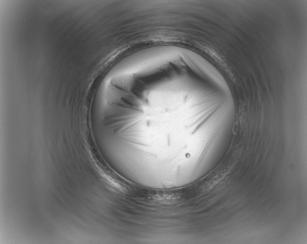 X0000052990445200508051112