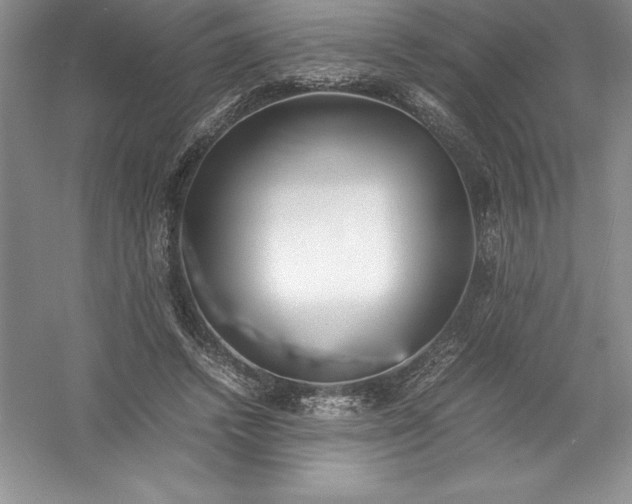 X0000052990448200508051112