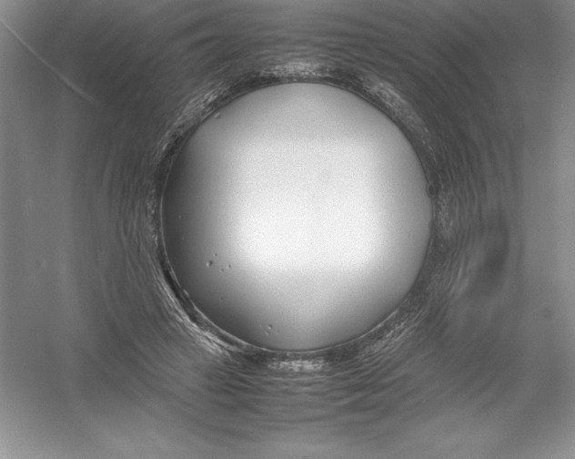 X0000052990449200508051112