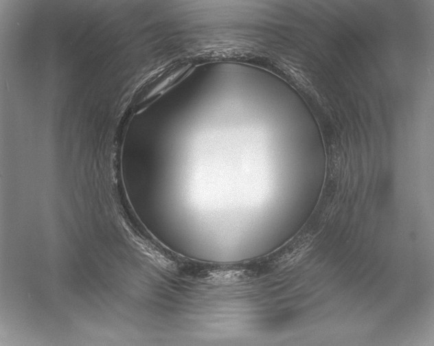 X0000052990450200508051112