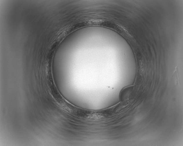 X0000052990451200508051112