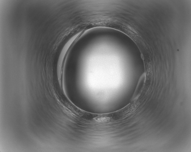 X0000052990452200508051112