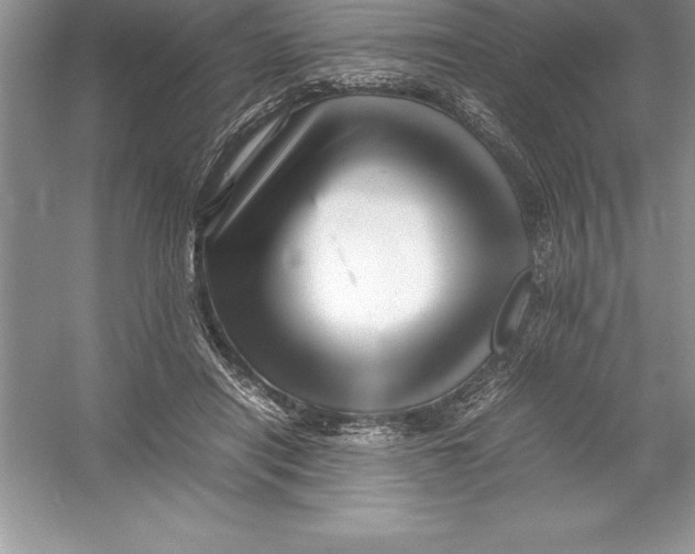 X0000052990454200508051112