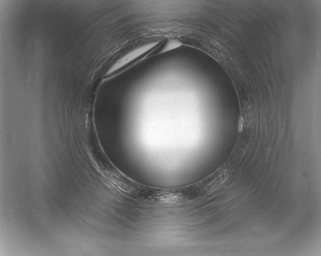 X0000052990456200508051112