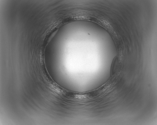 X0000052990457200508051112