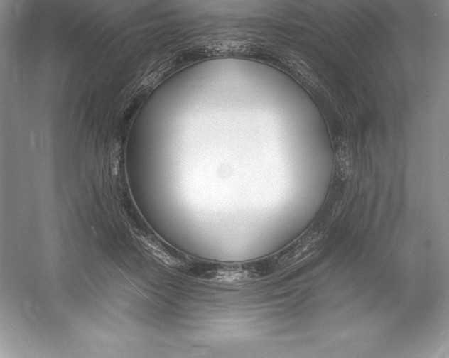 X0000052990458200508051112