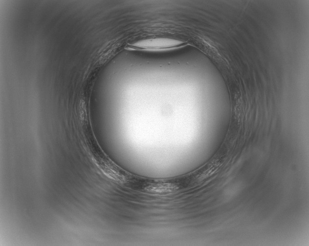 X0000052990459200508051112