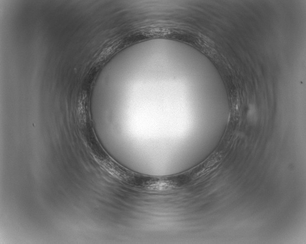 X0000052990460200508051112