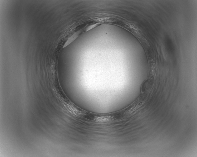 X0000052990461200508051112