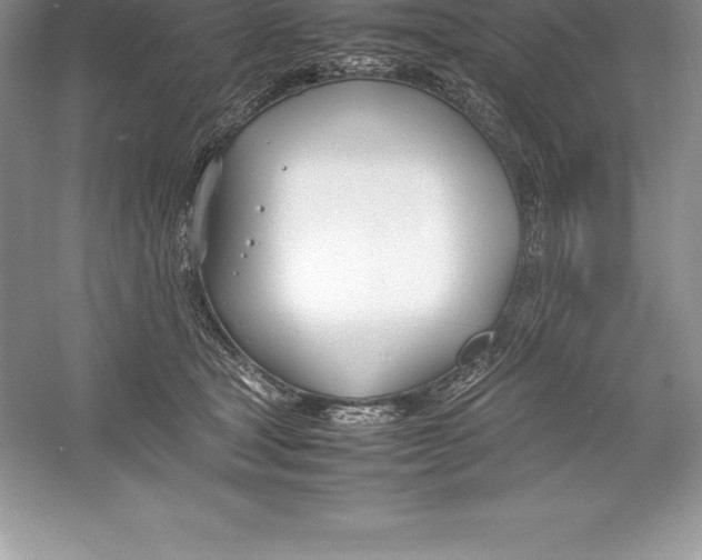 X0000052990465200508051112