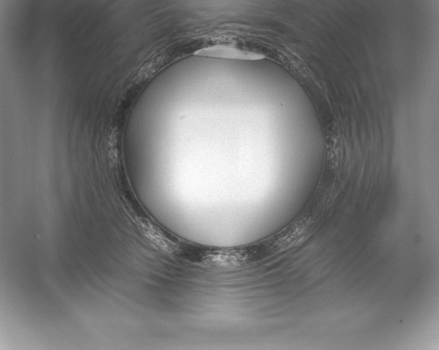 X0000052990466200508051112