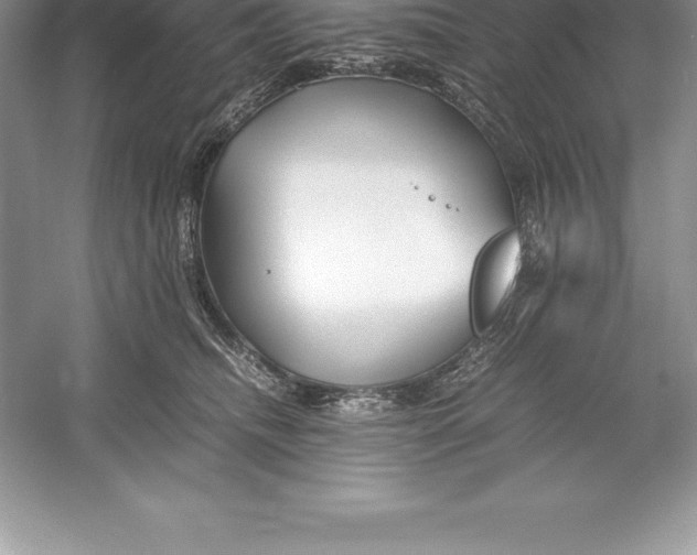 X0000052990468200508051112