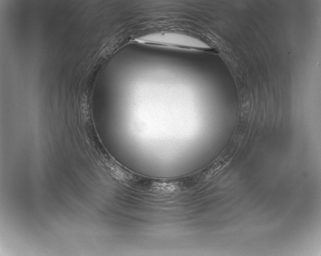 X0000052990469200508051112