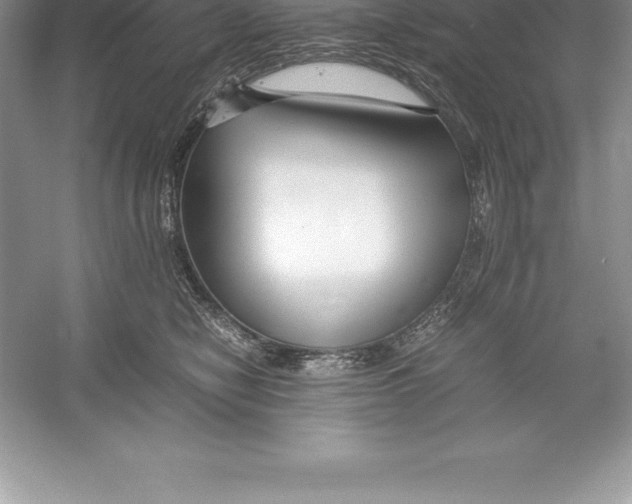 X0000052990470200508051112