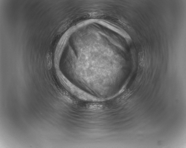 X0000052990471200508051112