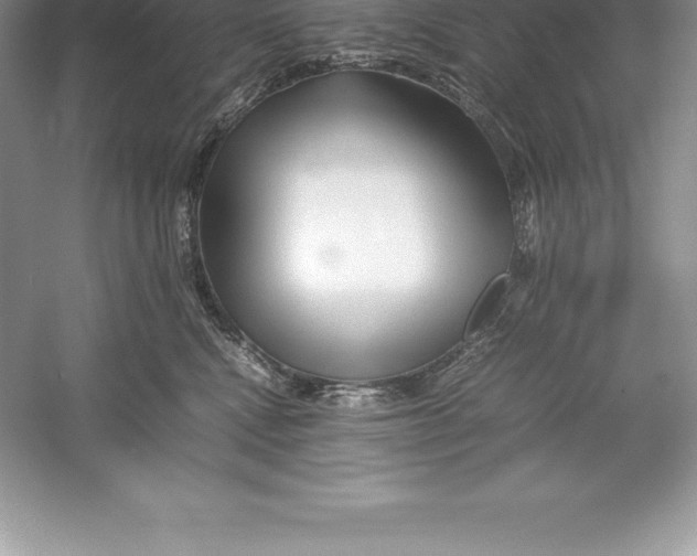 X0000052990472200508051112