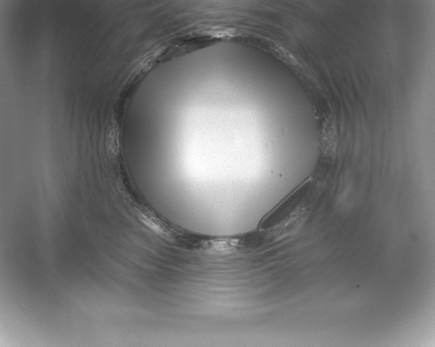 X0000052990474200508051112