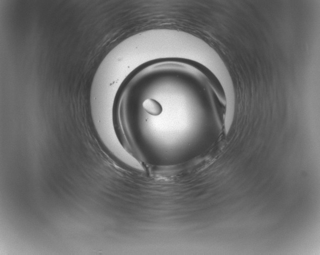 X0000052990475200508051112