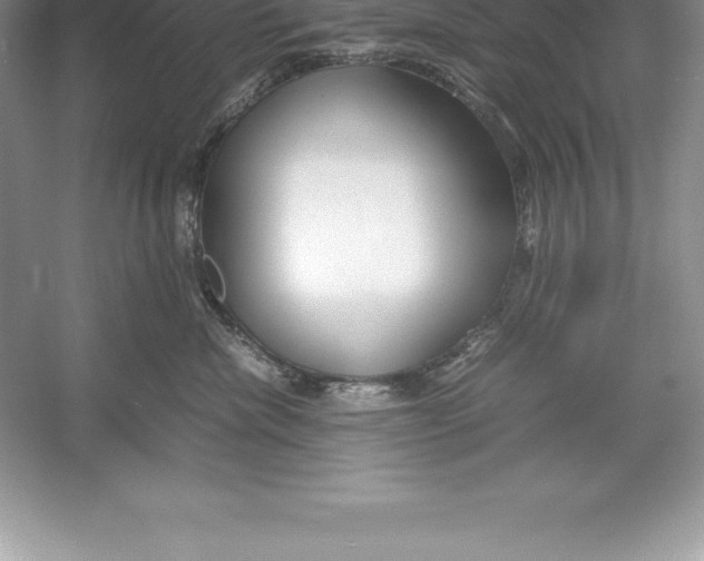 X0000052990476200508051112