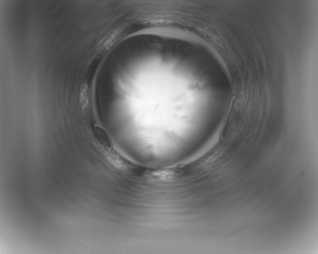 X0000052990478200508051112