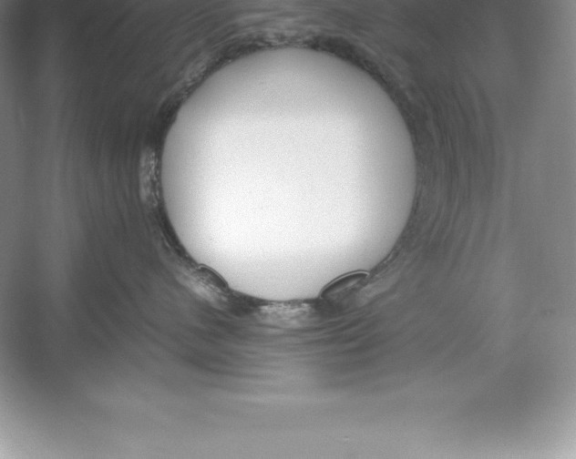 X0000052990480200508051113