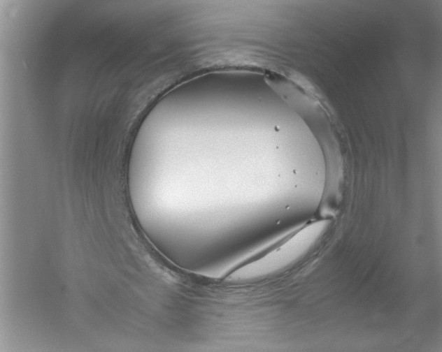 X0000052990481200508051112