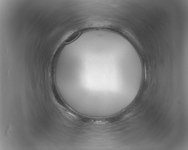 X0000052990483200508051112