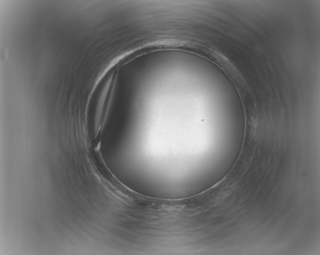 X0000052990484200508051112