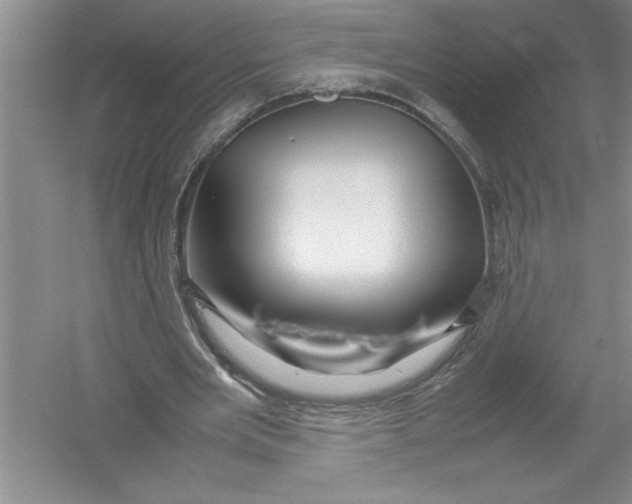 X0000052990485200508051112