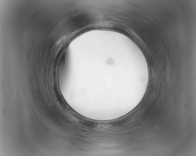 X0000052990487200508051112