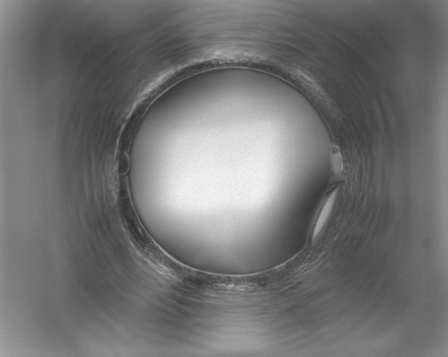 X0000052990488200508051112