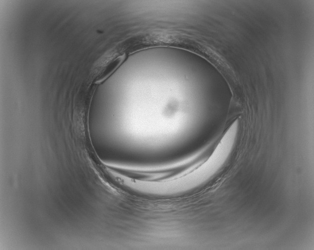 X0000052990489200508051112