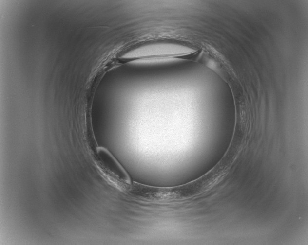 X0000052990493200508051111