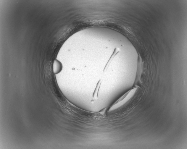 X0000052990495200508051111