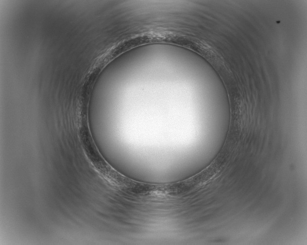 X0000052990496200508051111