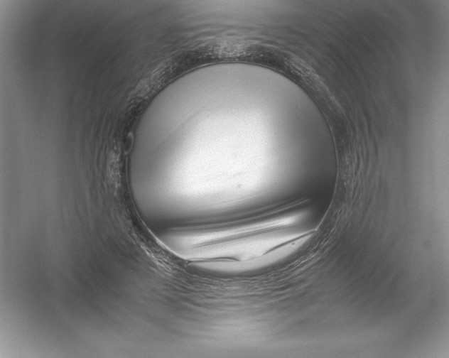 X0000052990497200508051111