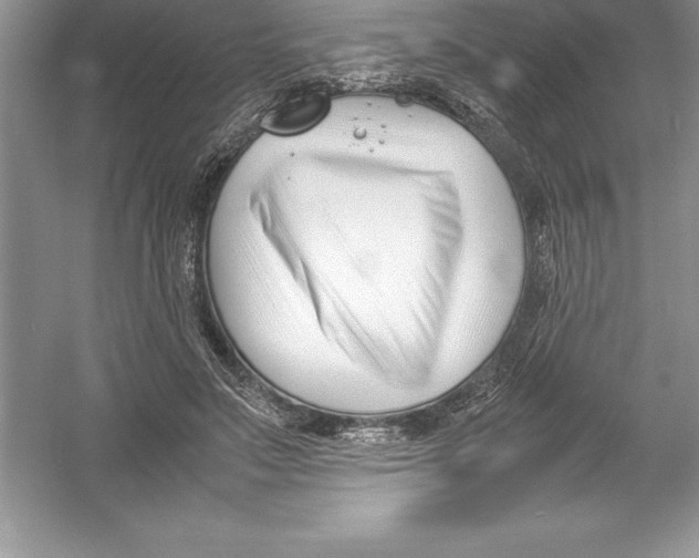 X0000052990499200508051111