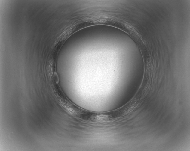 X0000052990501200508051111