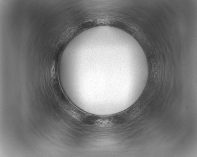 X0000052990502200508051111