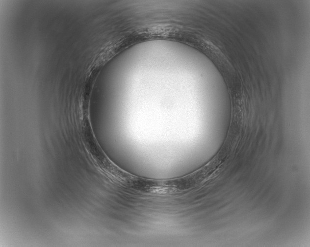 X0000052990504200508051111