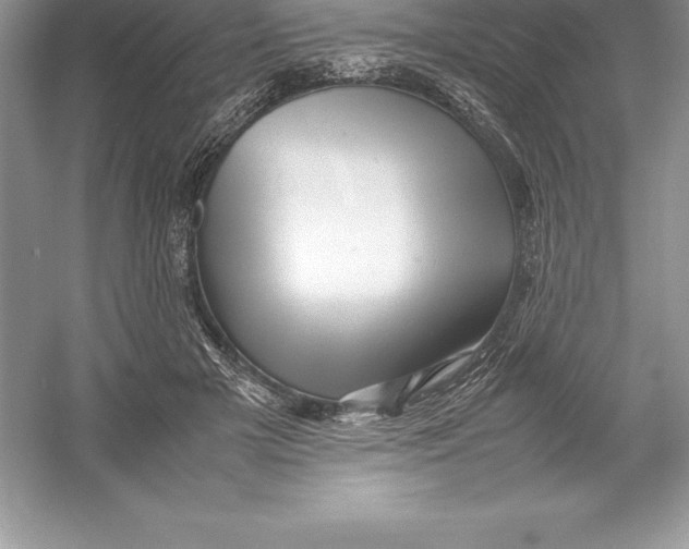 X0000052990505200508051111