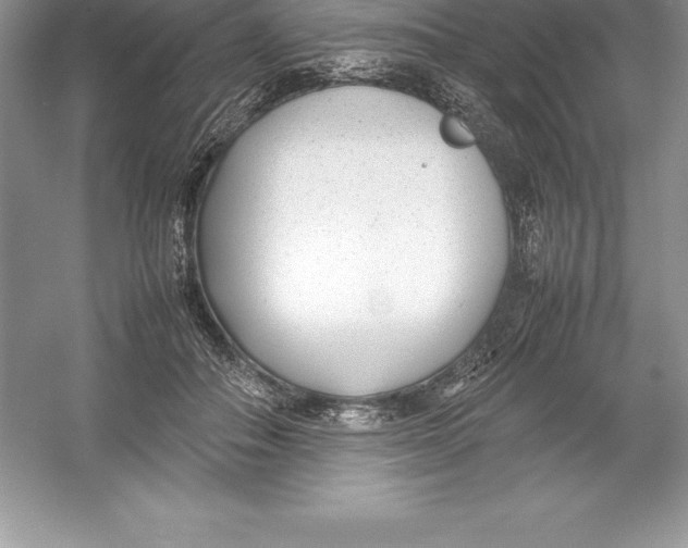 X0000052990506200508051111